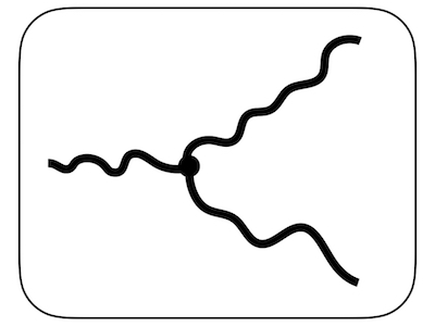 Fitting models of trait evolution with Arbor